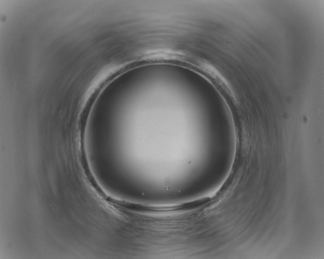 X0000074941376200609011105