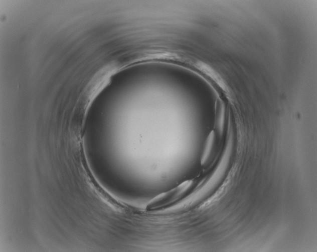 X0000074941377200609011105