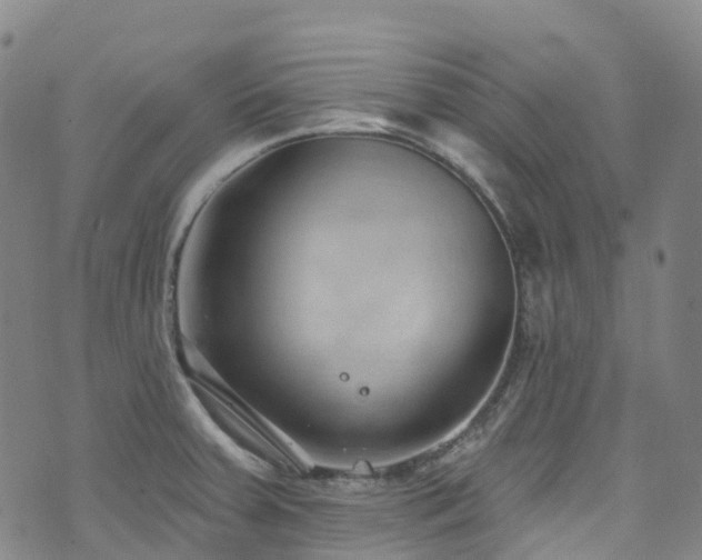 X0000074941379200609011105