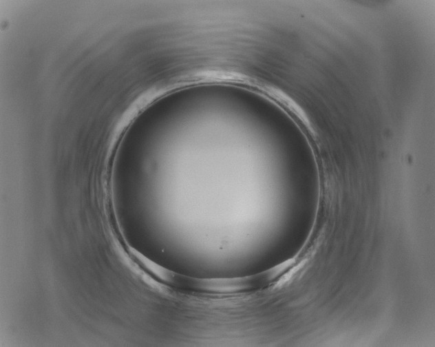 X0000074941381200609011105