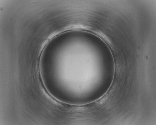 X0000074941382200609011105