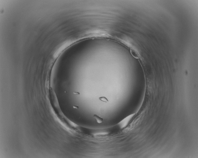 X0000074941383200609011105