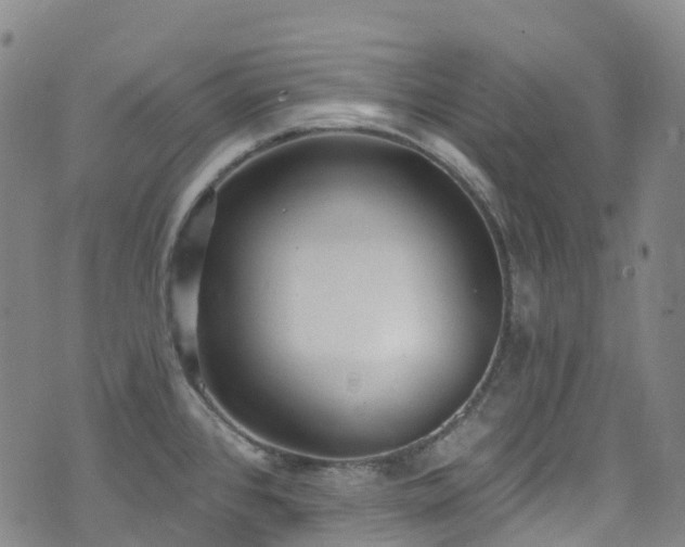 X0000074941384200609011105