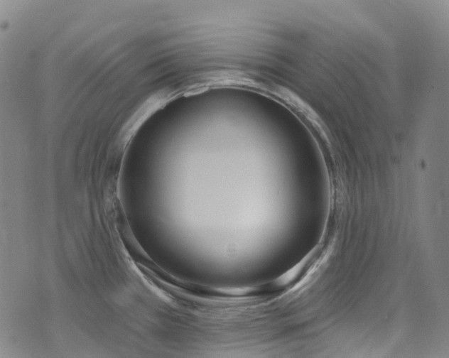 X0000074941385200609011105