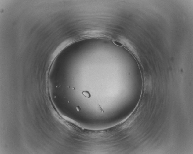 X0000074941386200609011105