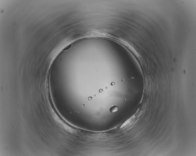 X0000074941387200609011105