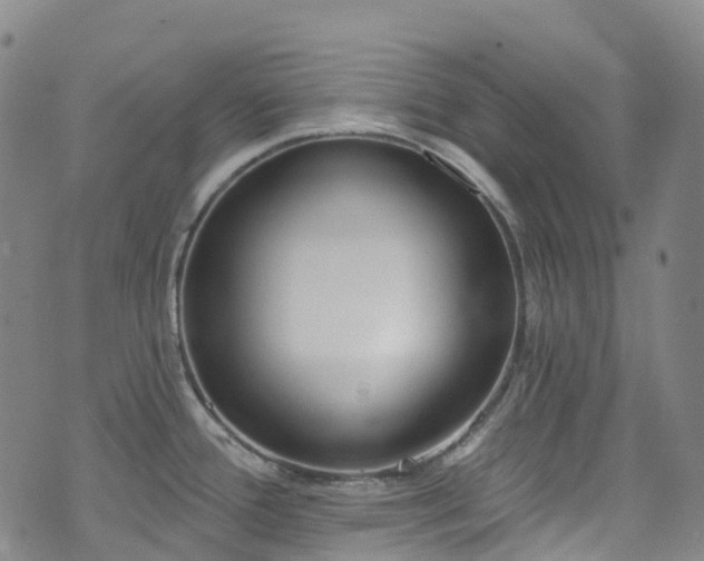 X0000074941388200609011105