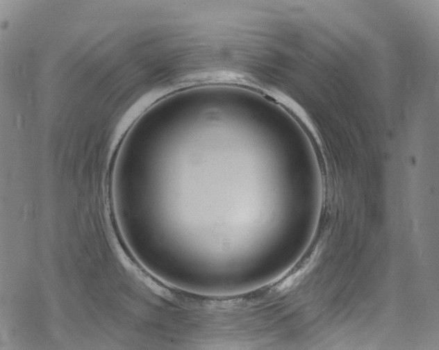 X0000074941389200609011104