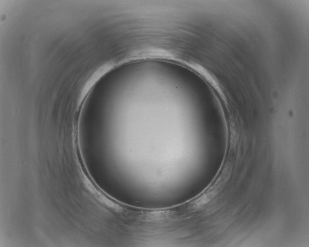 X0000074941390200609011104