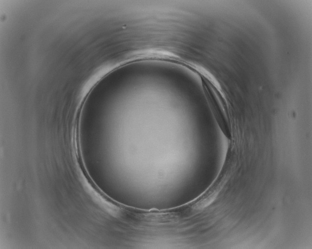 X0000074941391200609011104