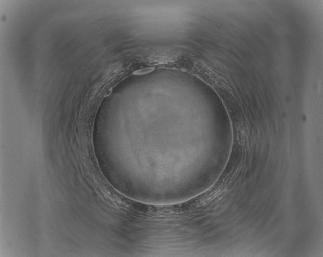 X0000074941393200609011104