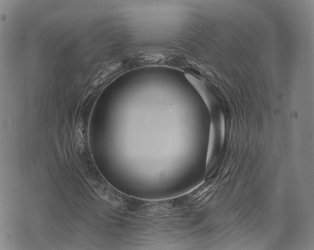 X0000074941394200609011104