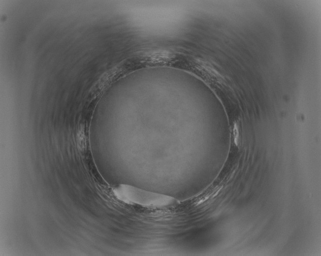 X0000074941395200609011104