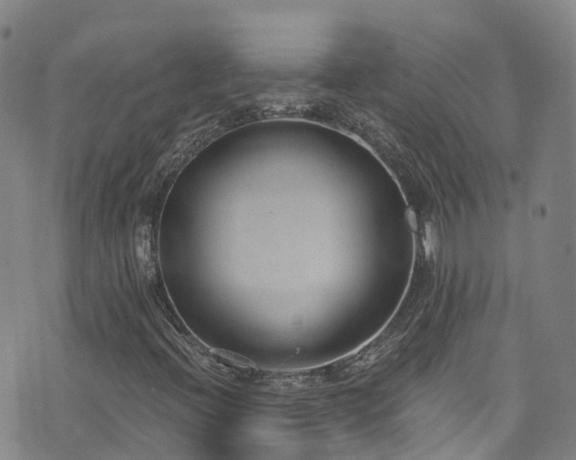 X0000074941396200609011104