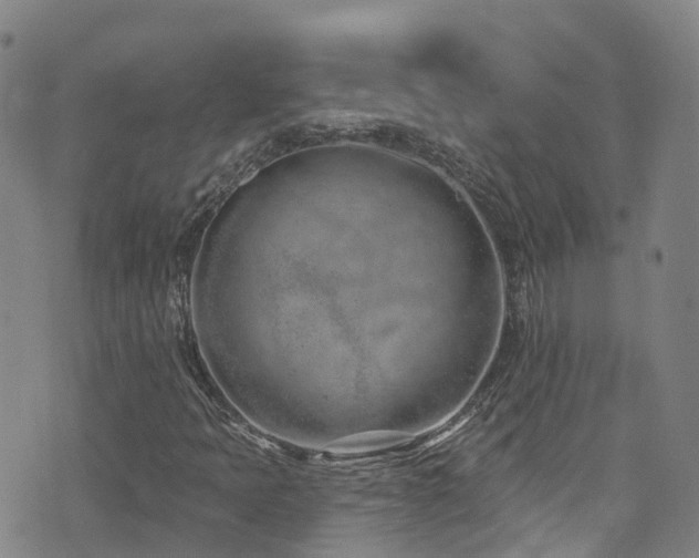 X0000074941397200609011104