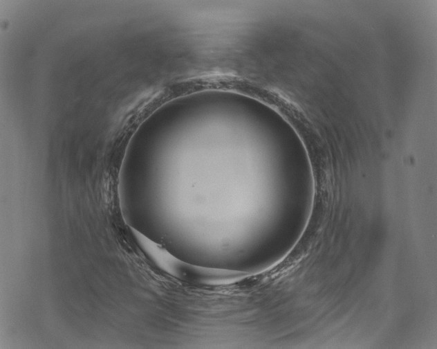 X0000074941398200609011104