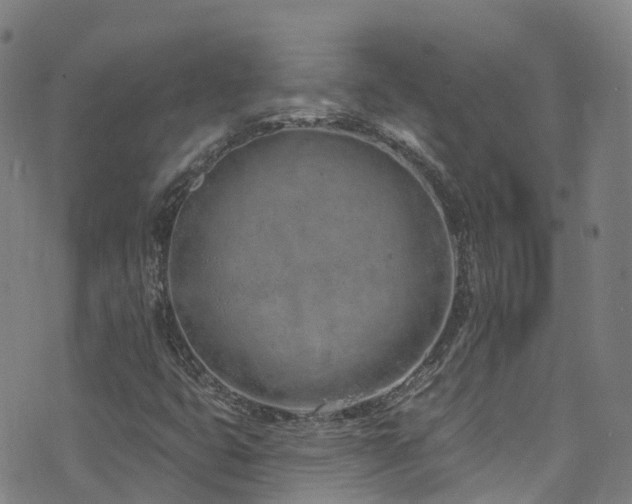 X0000074941399200609011104