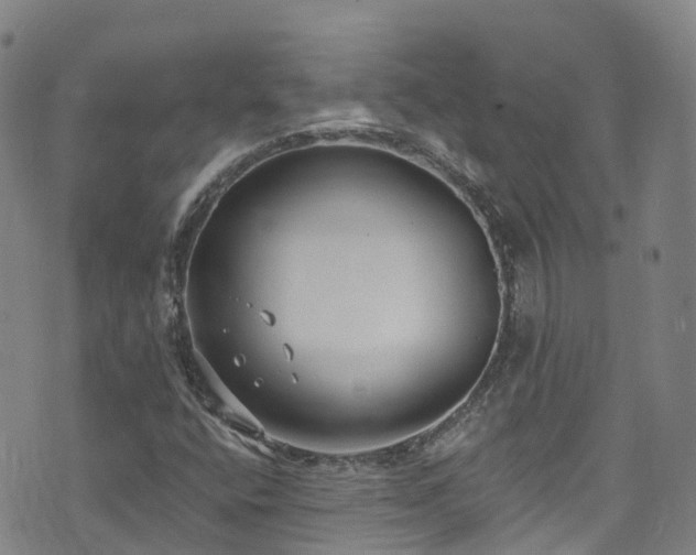 X0000074941400200609011104