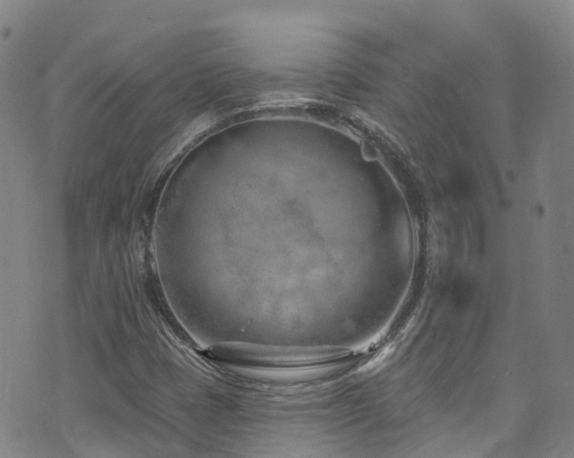 X0000074941401200609011104