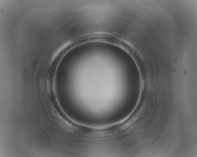 X0000074941402200609011104