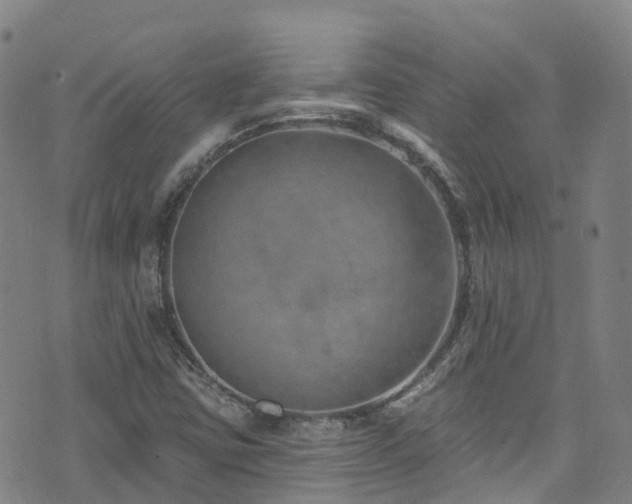 X0000074941403200609011104