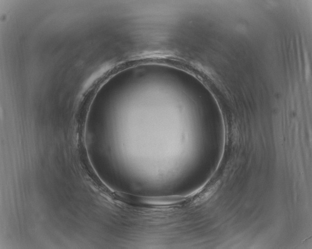 X0000074941406200609011104