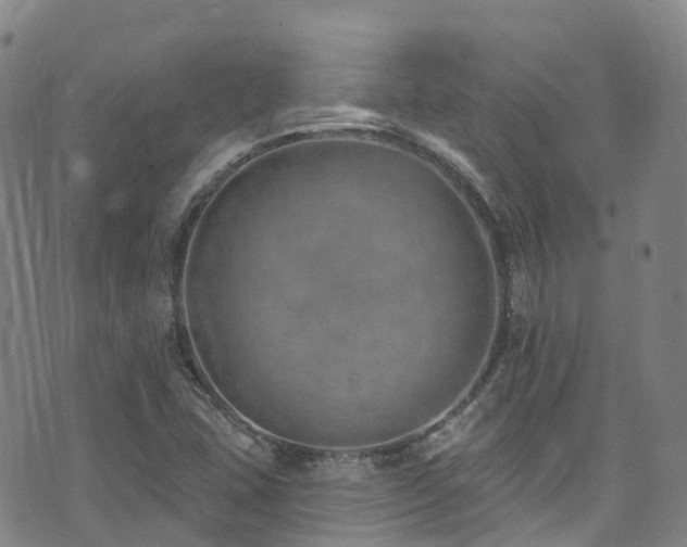 X0000074941407200609011104