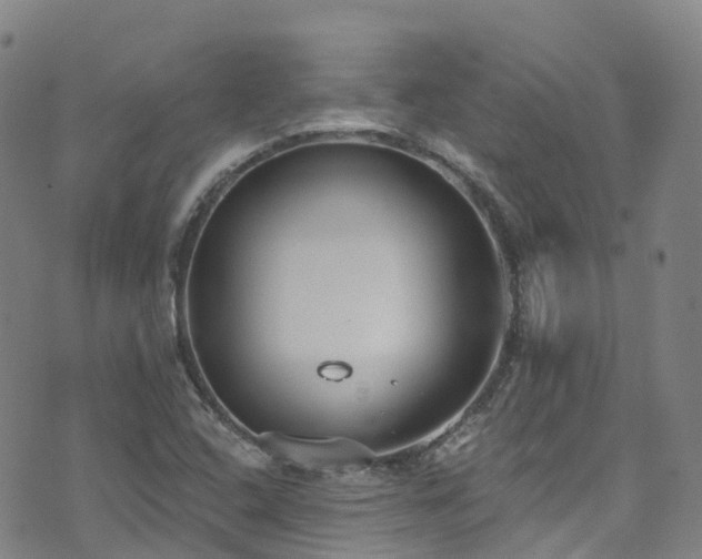 X0000074941408200609011104