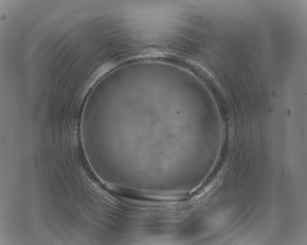 X0000074941409200609011104