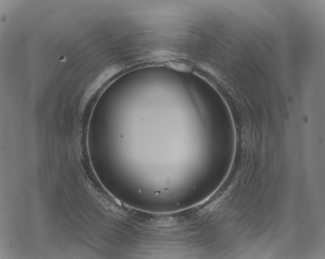 X0000074941410200609011104