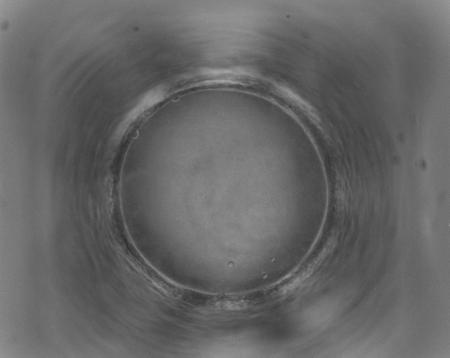 X0000074941411200609011104