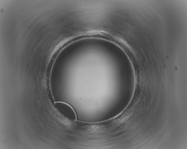 X0000074941412200609011104