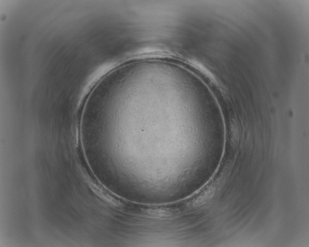 X0000074941413200609011104