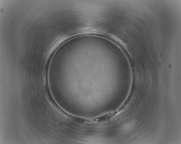 X0000074941415200609011104