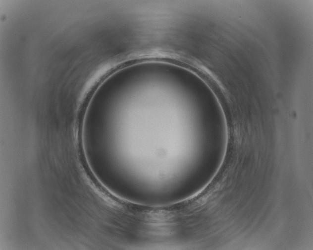 X0000074941416200609011104