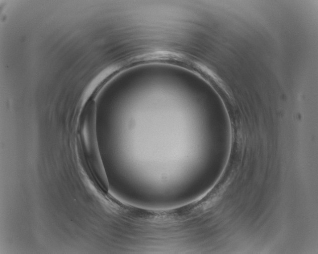 X0000074941418200609011104