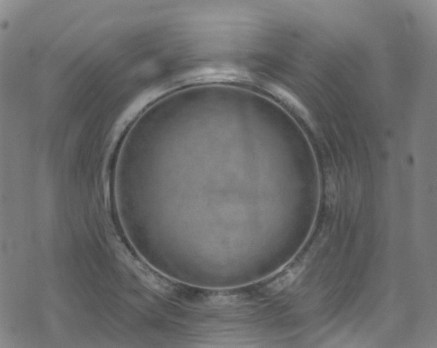 X0000074941419200609011104