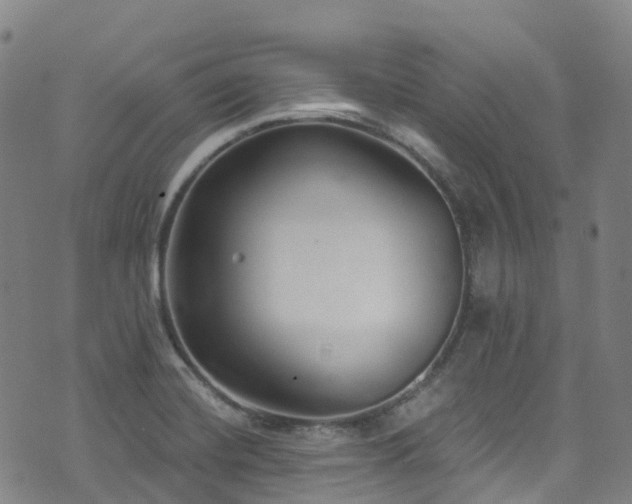 X0000074941420200609011104