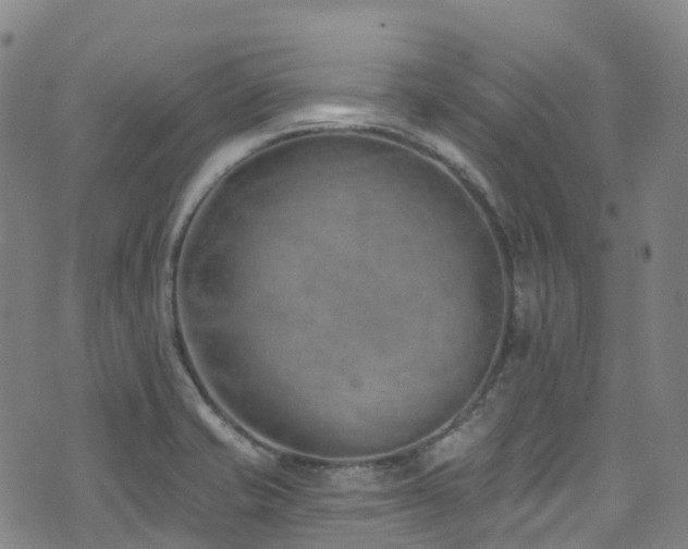 X0000074941421200609011104