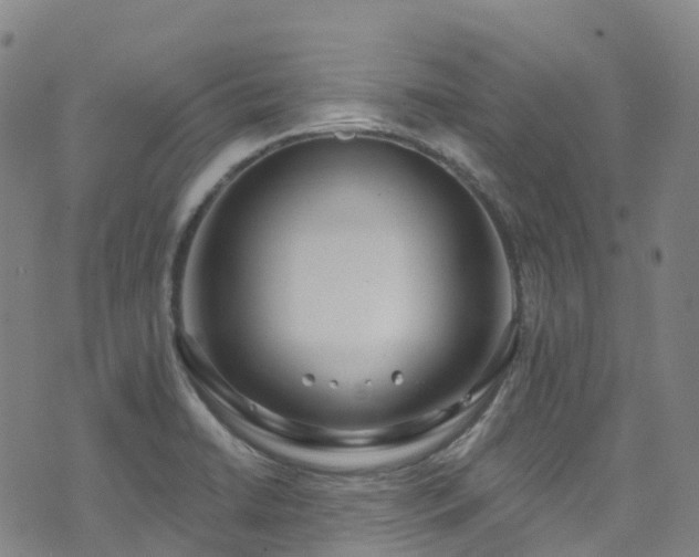 X0000074941422200609011104