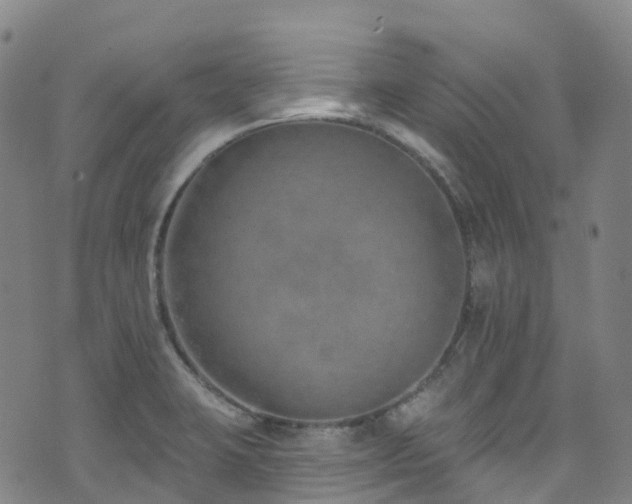 X0000074941423200609011104