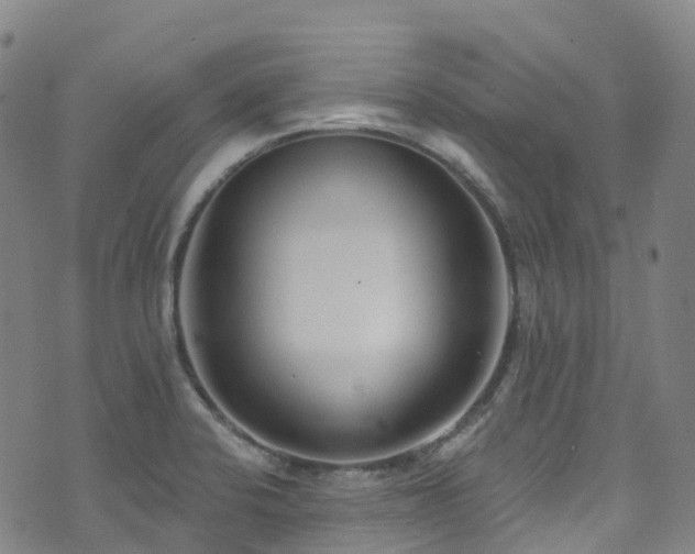 X0000074941424200609011104