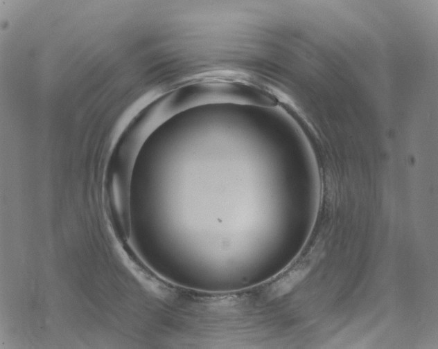 X0000074941426200609011104