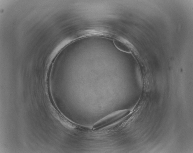 X0000074941427200609011104