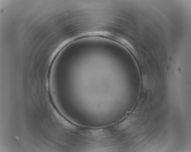 X0000074941428200609011104