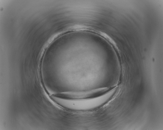 X0000074941429200609011104