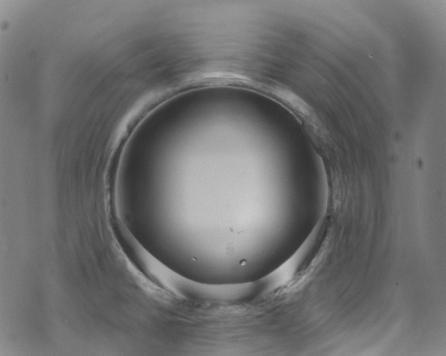 X0000074941430200609011104