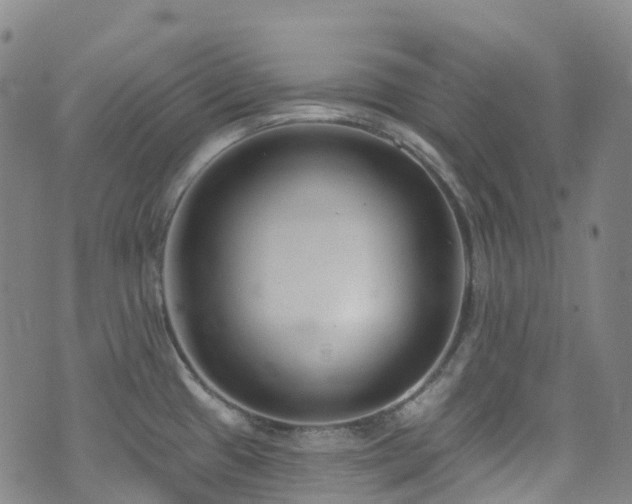 X0000074941433200609011104