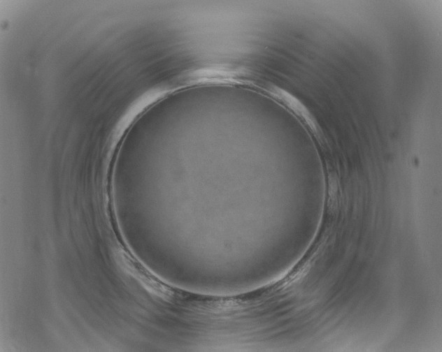 X0000074941435200609011104