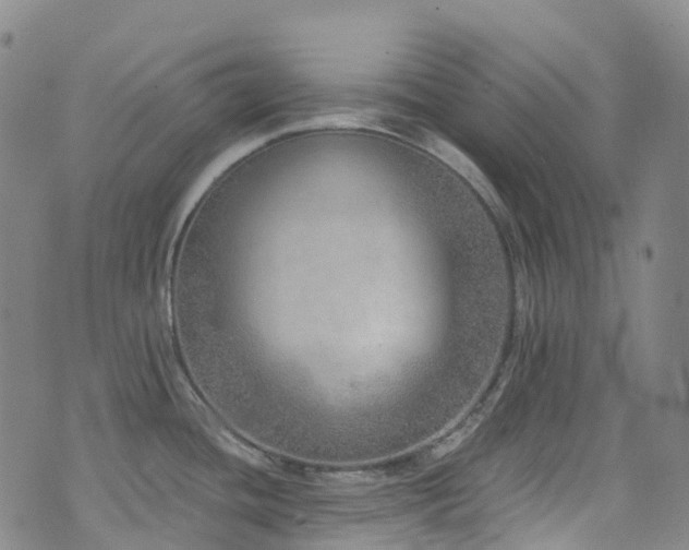 X0000074941436200609011104